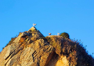 Bay Coast Sea Ocean Ri