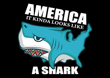 America kinda looks like a