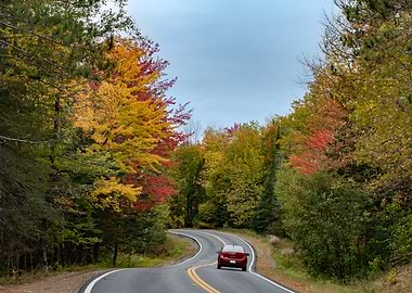 Driving Through Autumn