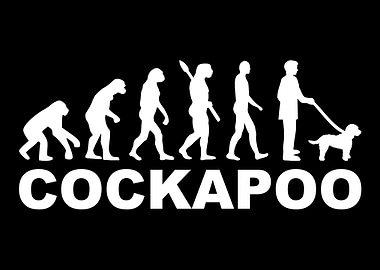 Cockapoo