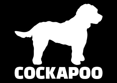 Cockapoo