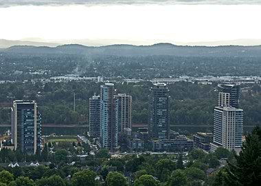 Image Picture Wallpaper