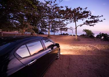 Car Road Fog Camping Tree