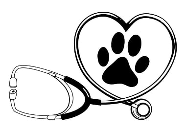 Cute Veterinarian Veterina