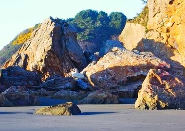 Bay Coast Sea Ocean Ri