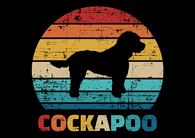 Cockapoo