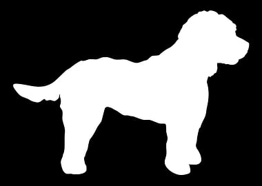 Cockapoo