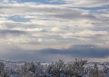 Image Picture Background