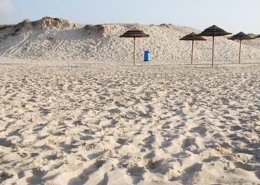 Beach Coconut Sea Tropi