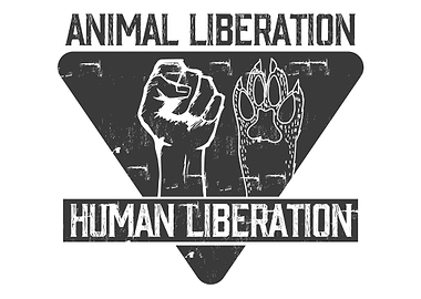 Human Liberation Black R