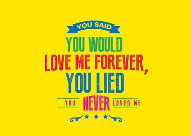 you never loved me