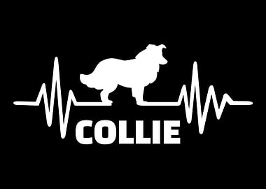 Collie