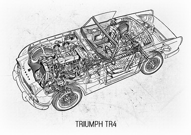 Triumph TR4