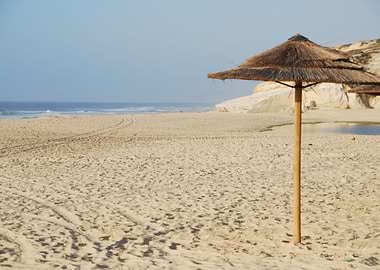 Beach Coconut Sea Tropi