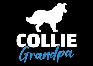 Collie