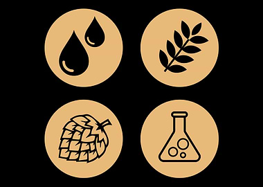 Craft Beer Beer Brewer