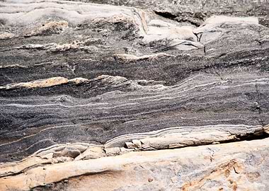 Archipelago Archipelago Is