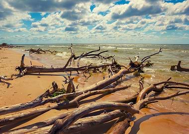 Baltic Beach Blue Bright C