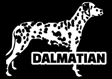 Dalmatian