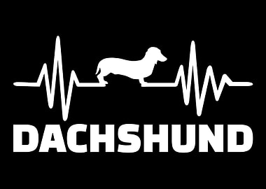 Dachshund