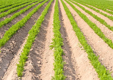 Acre Agrar Agricultural Ag