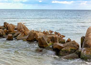 Baltic NorthSea Island