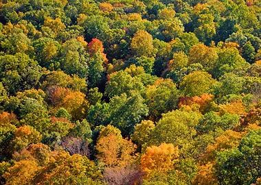 Aerial Autumn Background B