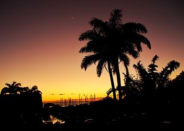 Marina de RivireSens n1