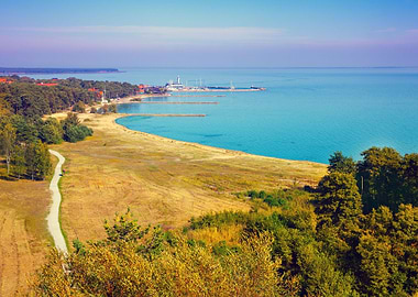 Aerial Baltic Beach BirdS