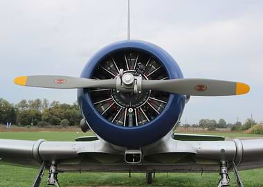 T6 Texan