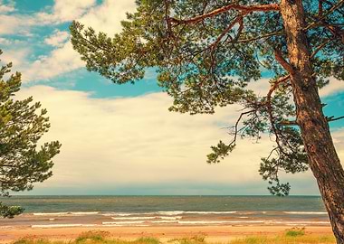 Baltic Beach Blue Bright C