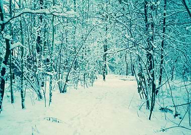 Back Background Beautiful