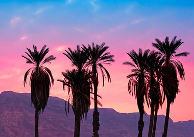 Agriculture Arid Backgroun