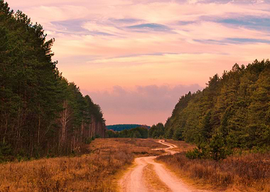 Autumn Background Beautifu