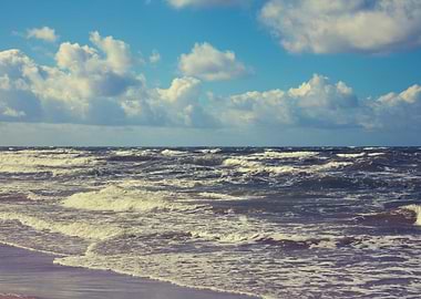 Abstract Background Baltic