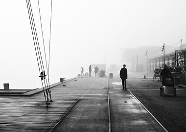 Foggy harbour
