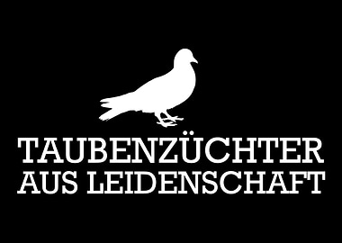 Taubenzchter