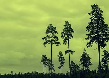 Background Beautiful Black