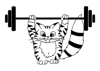 A cat under a barbell