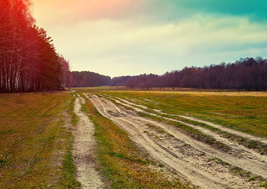 Autumn Background Beautifu