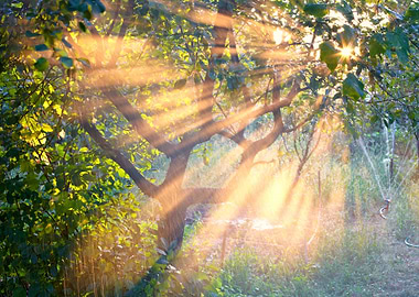 Background Beam Beautiful