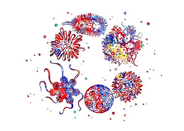 Human viruses and microbes