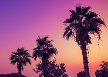 Arid Background Beautiful