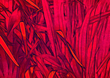 Reeds Pink Fuscia