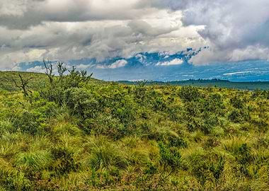 Landscape Scene Cotopaxi N