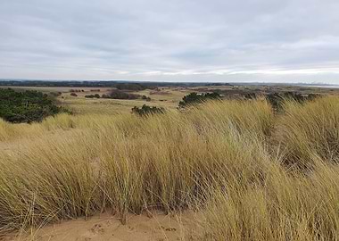 Dunes