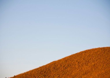 Straw Agriculture Beauty C