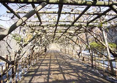 Adventure Avenue Basin Bea