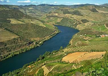 Douro Landscape 07