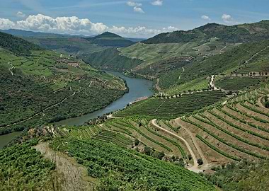 Douro Landscape 01
